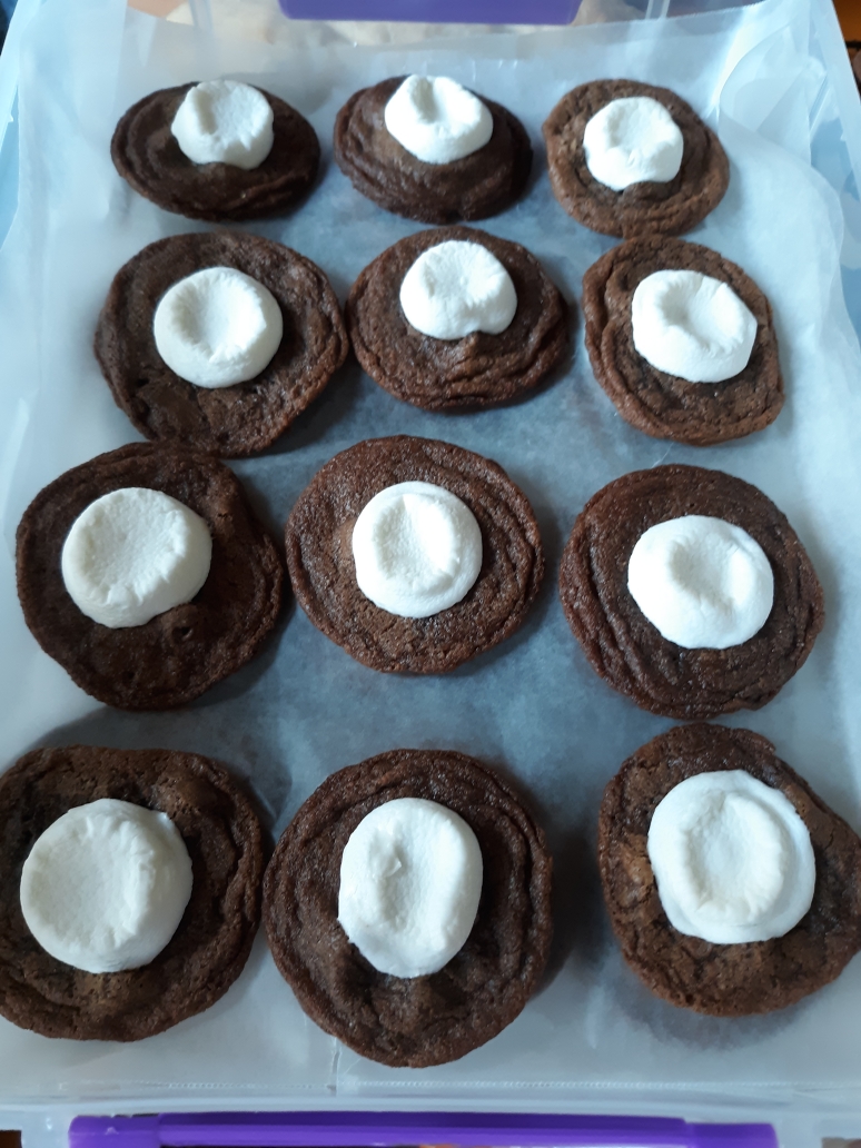 ms_cookies_hot_chocolate_cookies